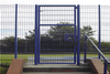  Iron Fence Gate